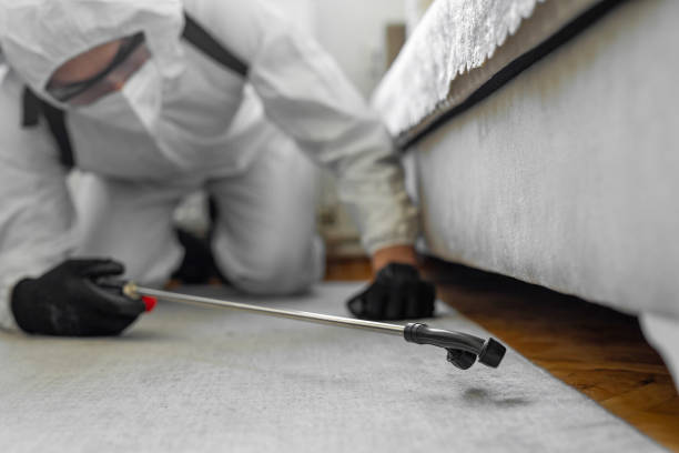Professional Termite Control technician working in Glendive, MT