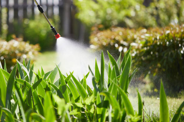 24/7 Emergency Termite Control experts in Glendive, MT